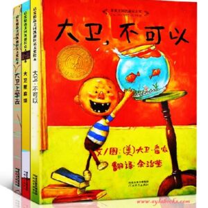 No, David! David Goes to School! David Gets in Trouble! Simplified Chinese/大卫不可以大卫上学去大卫惹麻烦（大卫系列全3册）